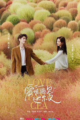 潍坊市网站数量排名优化